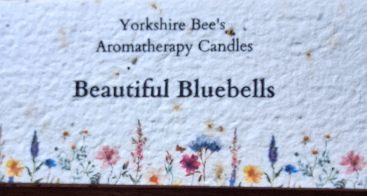 New Beautiful Bluebells Soy Wax Candle