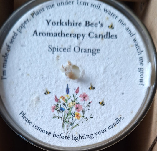 Spiced Orange Soy Wax Candle