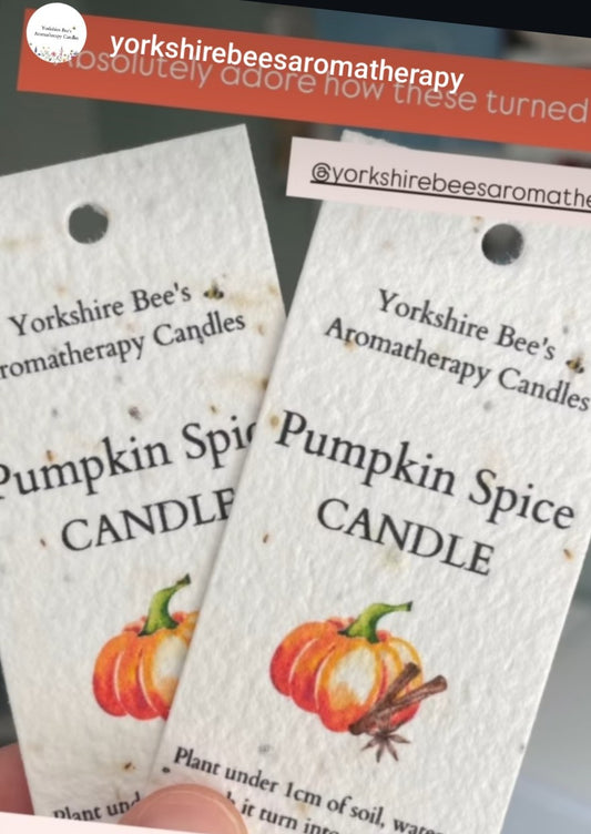 Pumpkin Spiced Soy Wax Candle